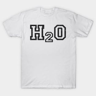 Vintage H2o Band T-Shirt
